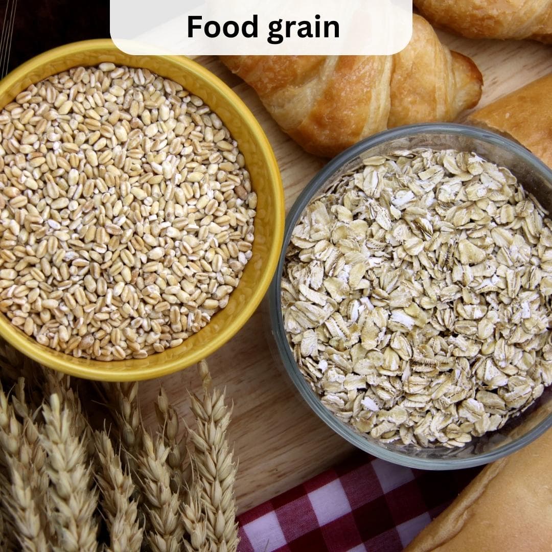 Dietify — Nutrition & Diet App