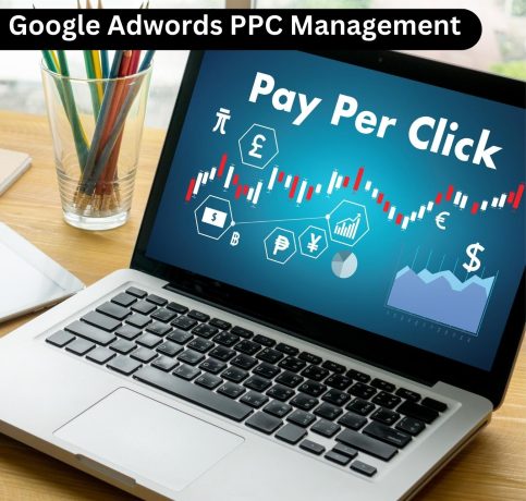 Google Adwords PPC Management